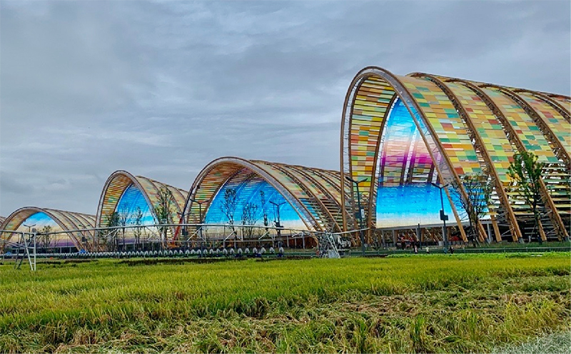 贝斯特 - 全球最奢华的游戏平台